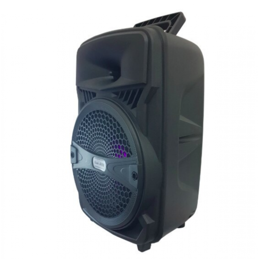 Set Boxa Portabila Cu Bluetooth Wireless, Radio Fm Auto Scan, Usb , Sd Card, Wster Verde+cadou Casti In-ear Tip Earpods Cu Microfon Si Telecomanda Pentru Iphone, Ipad, Ipod, Android