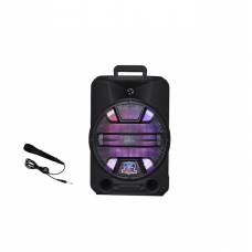 Boxa Portabila 12", 140W PMPO,USB,Microfon wireless