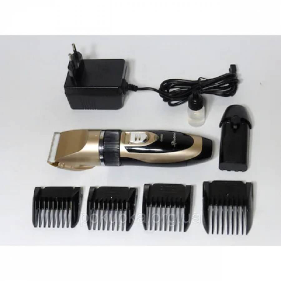 Masina    De Tuns Progemei