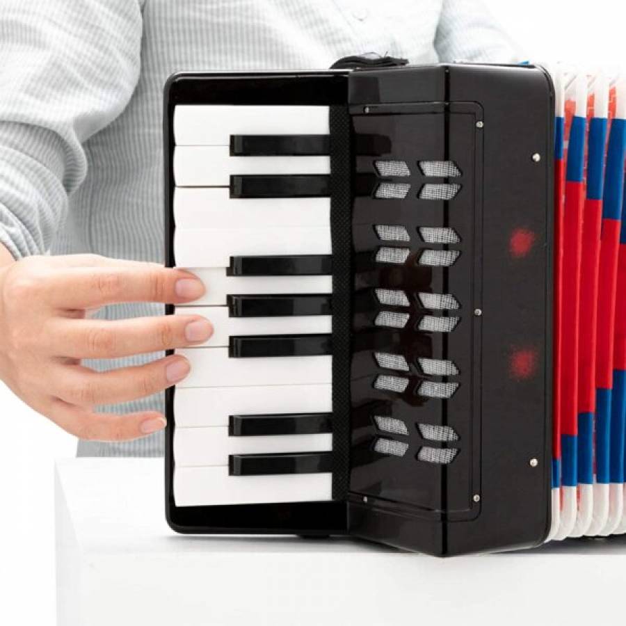 Acordeon KlaussTech Pentru Copii Cu 17 Clape , 8 Basi , Curea De Umar , Negru