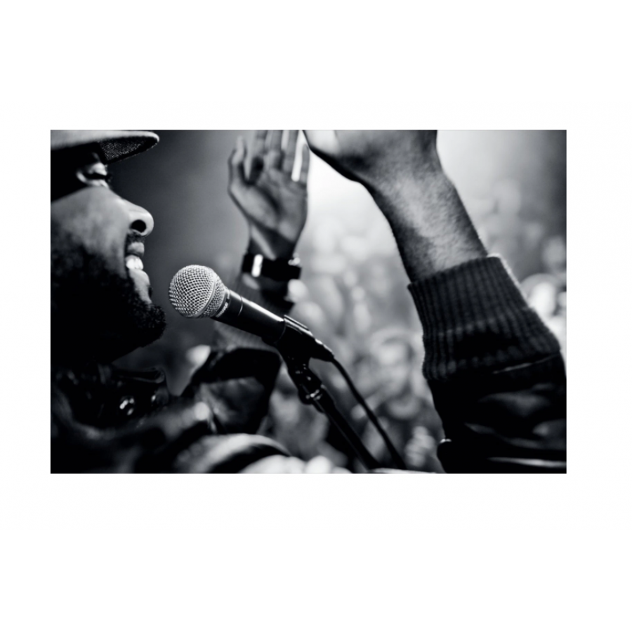 Microfon Profesional Dinamic Cardioid Sm58