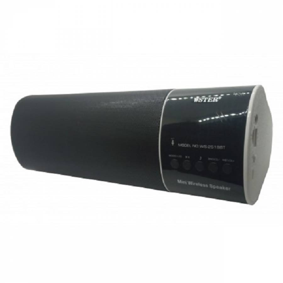 Boxa Portabila Klausstech , Bluetooth Wireless, Conexiuni ,bt , Aux, Tf Card, Fm Radio,, Culoare Neagra