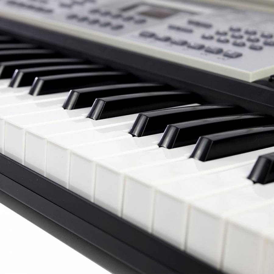 Orga Electronica Profesionala , Nr. De Clape 54 , Usb Player , 100 Timbre , 8 Melodii Demonstrative , Microfon Inclus , Controlul Efectelor , 8 Tipuri De Percutie