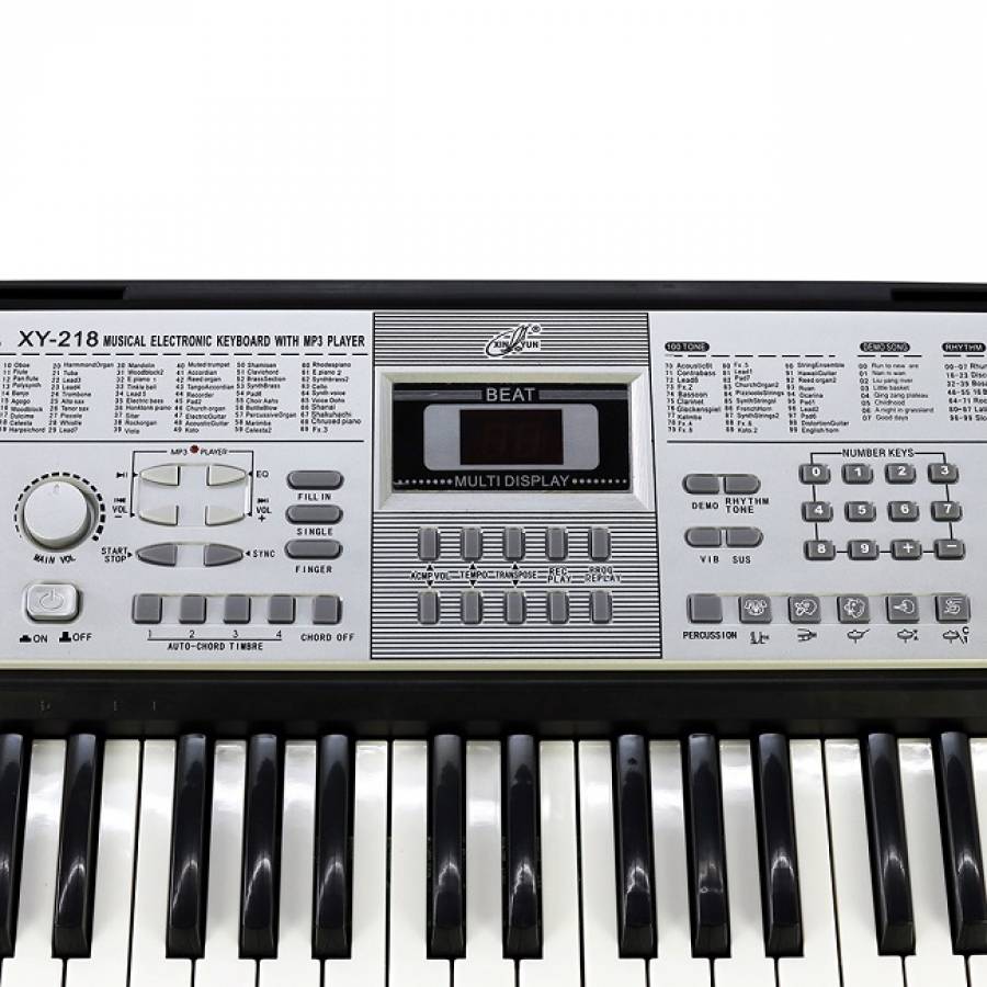 Orga Electronica Profesionala , Nr. De Clape 54 , Usb Player , 100 Timbre , 8 Melodii Demonstrative , Microfon Inclus , Controlul Efectelor , 8 Tipuri De Percutie