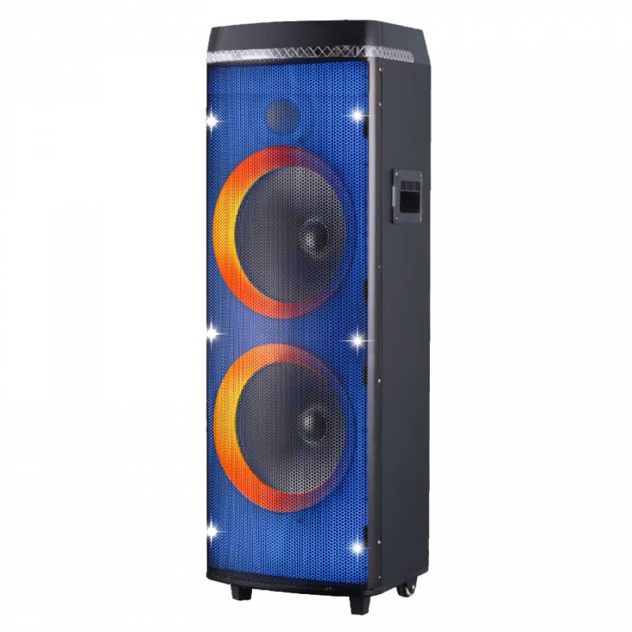 Boxa Audio 40 W cu Radio FM, USB, Lumini LED, 12 inch, Telecomanda, 2 x Microfoane, 12 V 7 Ah, Negru