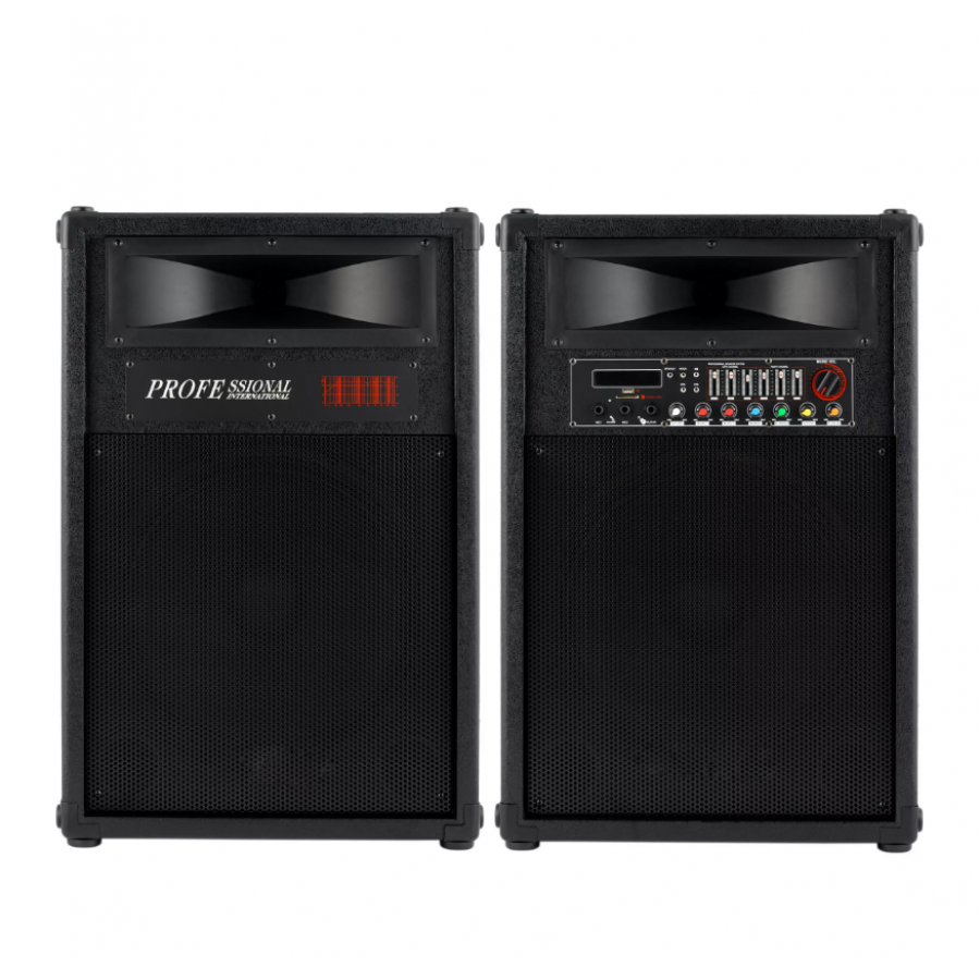 Set de 2 Boxe, Putere 1200W, Reglaje, Accesorii Incluse, Negru