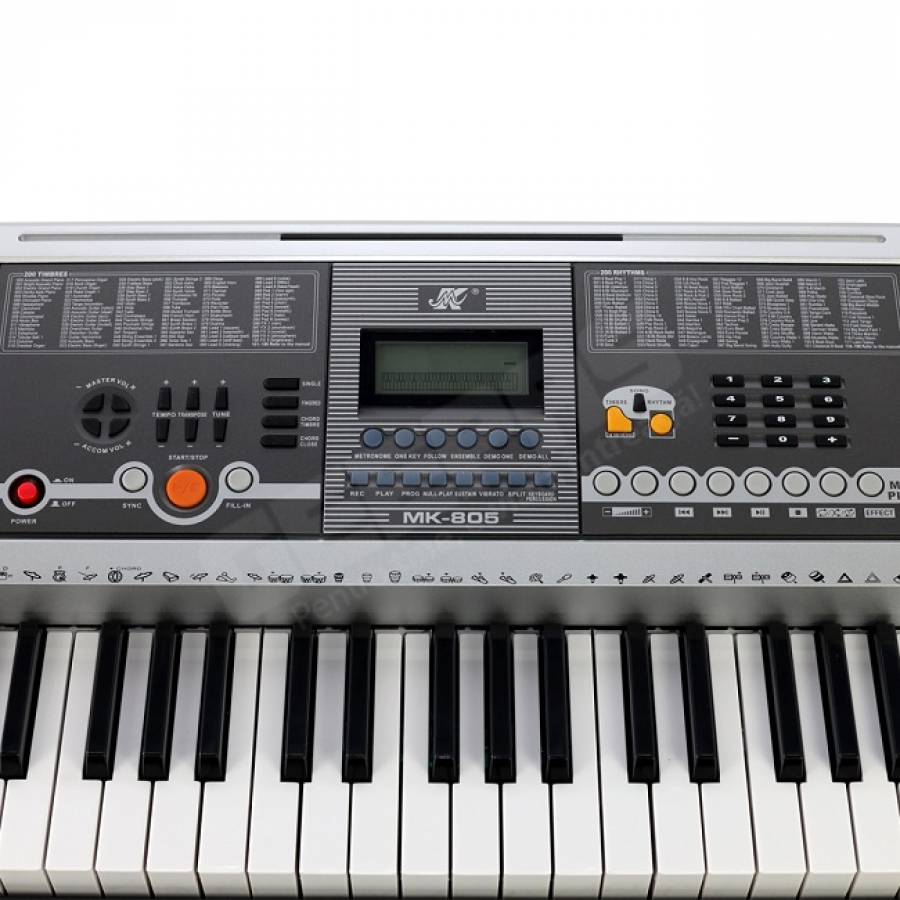 Orga Electronica Profesionala Cu 61 De Clape , 100 Tonuri Si 100 Ritmuri , 10 Melodii Demonstrative , Conectivitate Prin Usb , Tip Tastatura Standard , Ecran Lcd , Culoare Argintiu
