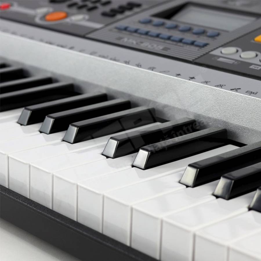 Orga Electronica Profesionala Cu 61 De Clape , 100 Tonuri Si 100 Ritmuri , 10 Melodii Demonstrative , Conectivitate Prin Usb , Tip Tastatura Standard , Ecran Lcd , Culoare Argintiu