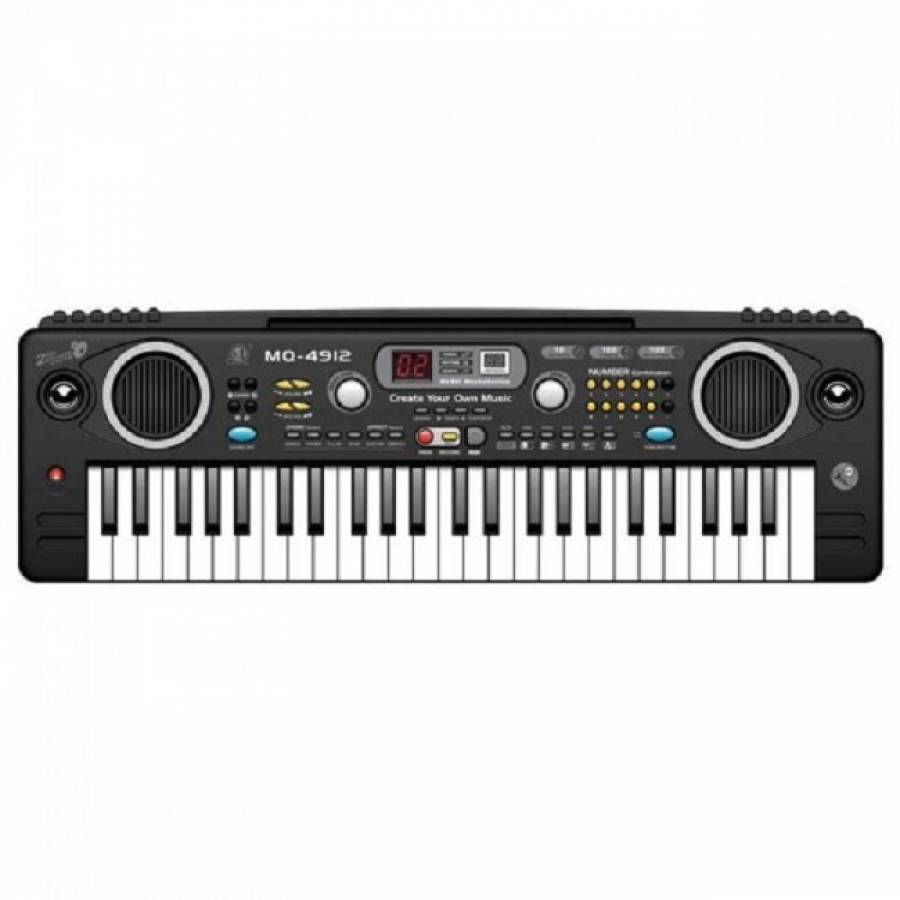 Orga Electronica Cu Microfon Inclus, 49 De Clape, 6 Melodii Demo, 10 Ritmuri, 10 Tonuri, Display Digital, Functie Control Efecte, Functie Inregristrare, Negru/alb