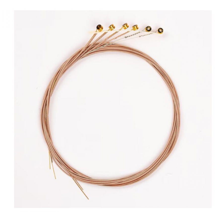 Set 6 corzi pentru chitară acustică, Alice A206, metal, rezistență la coroziune