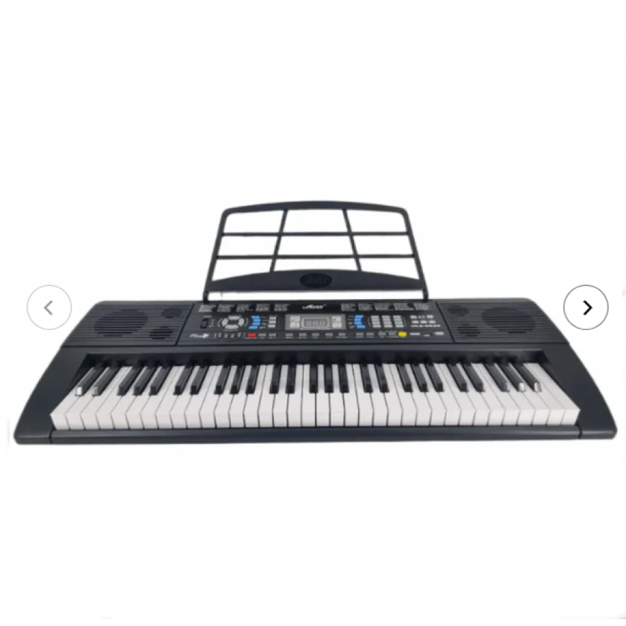 Orga Electronica Profesionala Cu 61 De Clape, Port Usb, 128 Timbre, 128 Ritmuri Si 30 Melodii Demo, Functii De Invatare, Inregristrare Si Programare, Tempo/sync/fill In, Negru