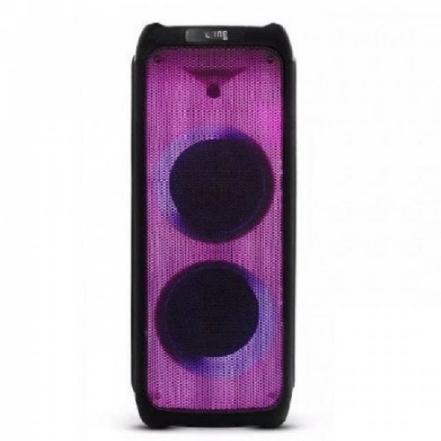 Boxă Portabilă Wireless BT/FM/AUX 100W RMS 2x10