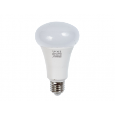 Bec Led E27 9W / 12V Glob