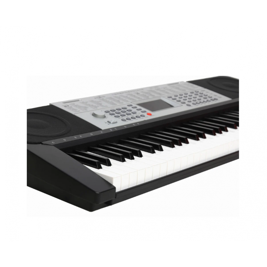 Orga Electronica , Microfon Cu Fir , 61 Clape , 200 Tonuri , 200 Ritmuri , Usb Mp3