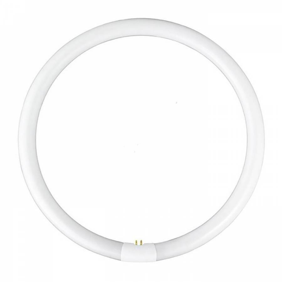 Neon tub circular, 38W, lumina alba