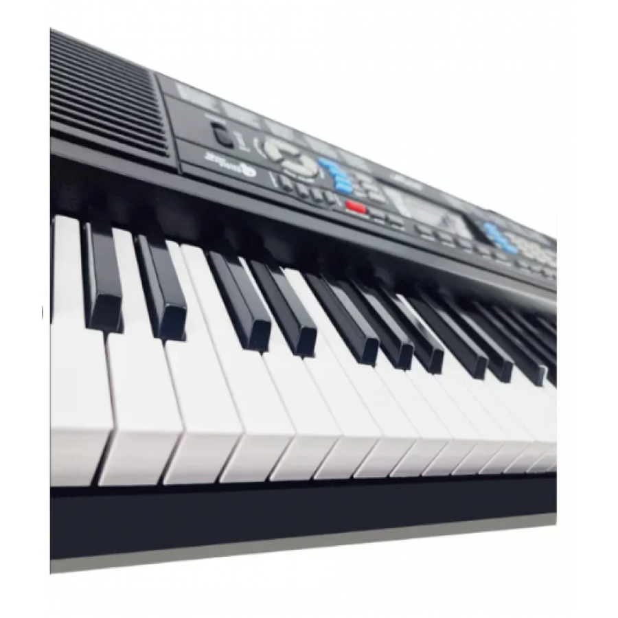 Orga Electronica Profesionala Cu 61 De Clape, Port Usb, 128 Timbre, 128 Ritmuri Si 30 Melodii Demo, Functii De Invatare, Inregristrare Si Programare, Tempo/sync/fill In, Negru