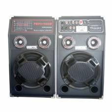 Boxe Cu Statie Active Profesionale Dp-2304l Bluetooth / Usb / Sd Card + Set 2 Microfoane Wireless  Cadou