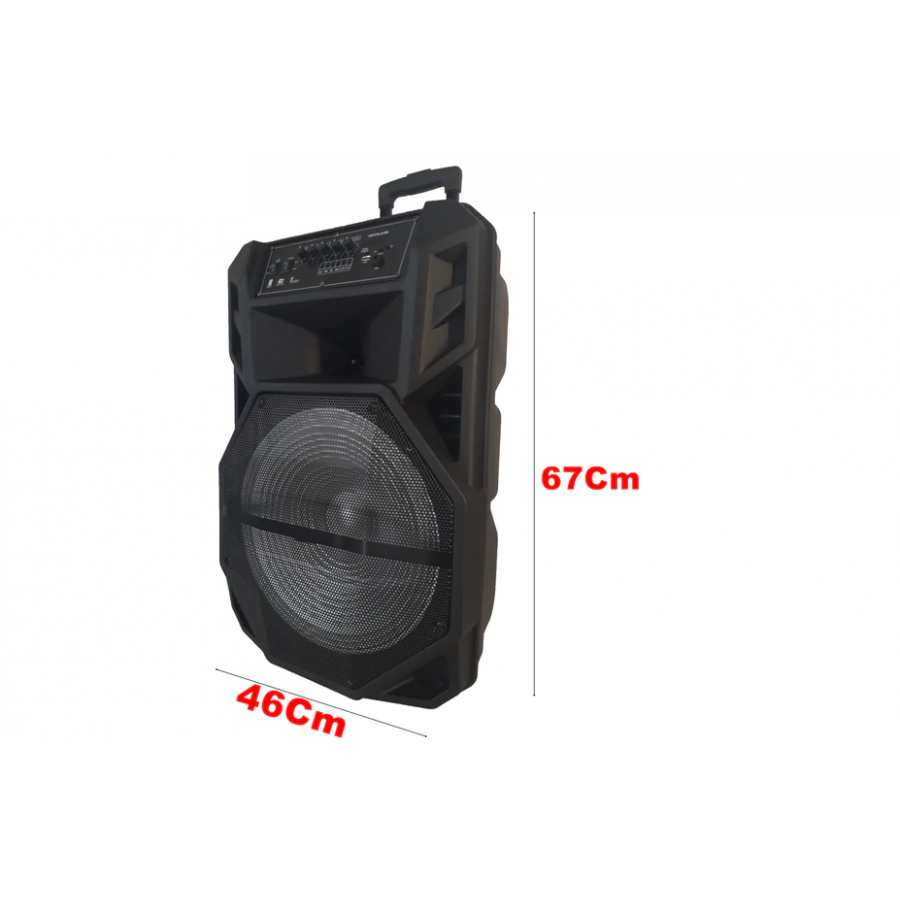 Boxa Portabila, Putere 1000W, Display, Diverse Reglaje Sonore, Accesorii Incluse, Negru