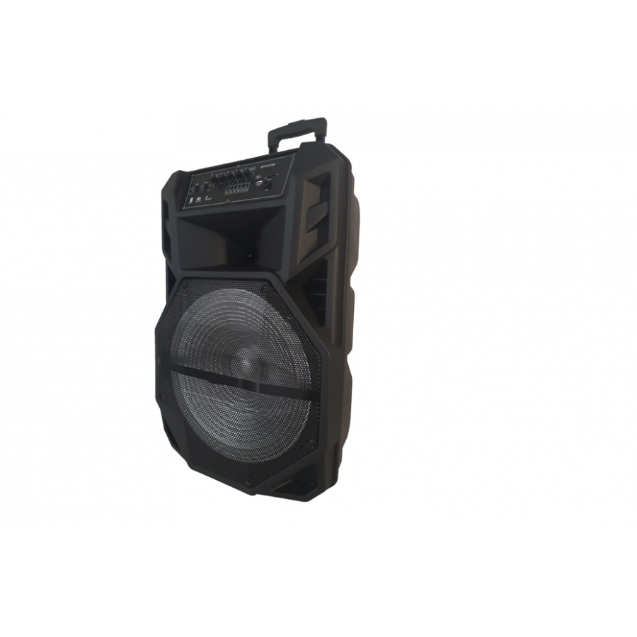 Boxa Portabila, Putere 1000W, Display, Diverse Reglaje Sonore, Accesorii Incluse, Negru