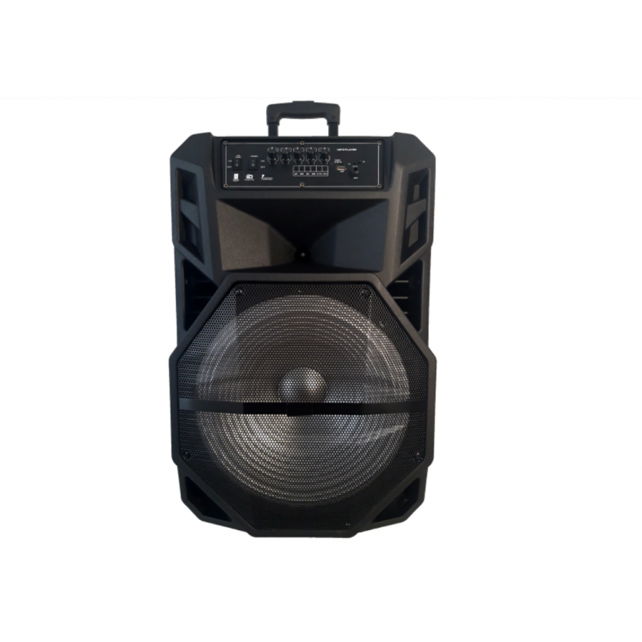 Boxa Portabila, Putere 1000W, Display, Diverse Reglaje Sonore, Accesorii Incluse, Negru