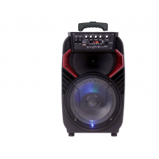 Boxa Portabila, Putere 100W, Autonomie Ridicata, Greutate Redusa, Negru/Rosu