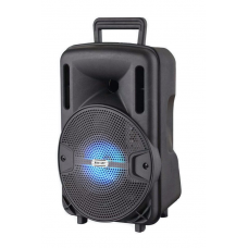 Boxa Portabila Activa, Telecomanda, 10W RMS, Bluetooth, MP3 Player, Radio, Acumulator, Negru