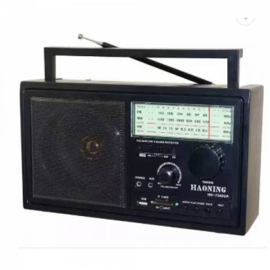Radio FM Profesional de 1000 W, Frecventa LW 145 - 290 kHz, Frecventa FM 87,5 - 108 MHz, 220 - 240 V AC, Negru