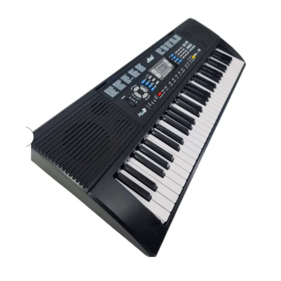 Orga Electronica Profesionala Cu 61 De Clape, Port Usb, 128 Timbre, 128 Ritmuri Si 30 Melodii Demo, Functii De Invatare, Inregristrare Si Programare, Tempo/sync/fill In, Negru