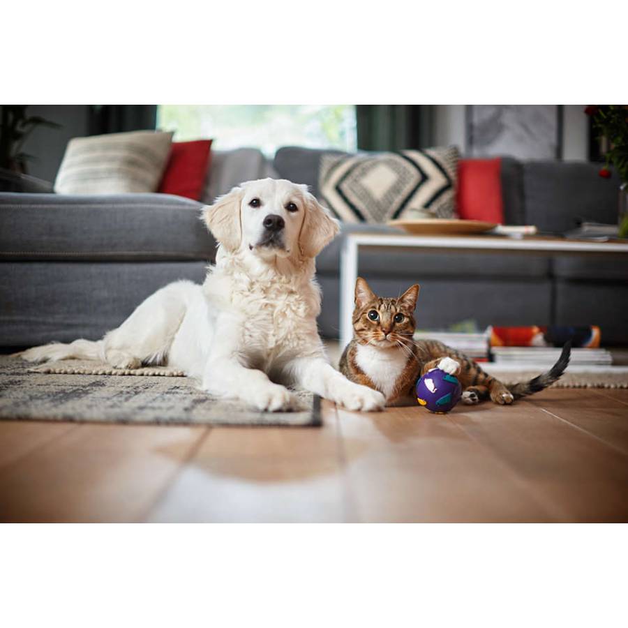 Aspirator Philips Profesional Cu Sac, Buton Rotativ De Control, Putere De Aspirare 750 W, 900 W, 77 Db, Roti Din Plastic, Cuplaj Tub Conic, Accesorii Incluse, Verde