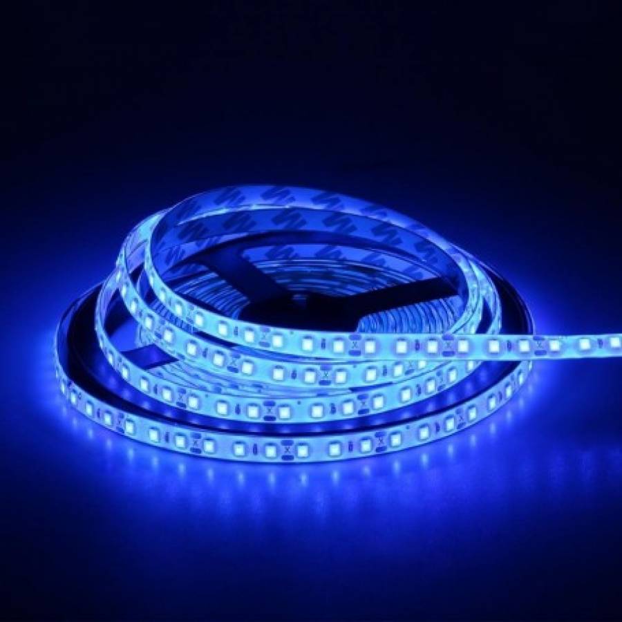 Banda Ip20 Led Klausstech Profesionala De 5 M, Unghi De Lumina 120˚, Tensiune Alimentare 12v Dc, Design Flexibil, Alimentator Inclus, Albastru