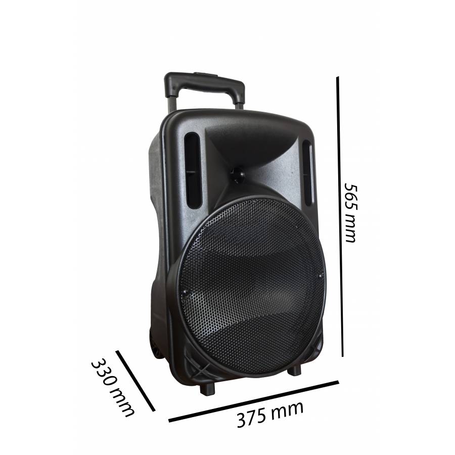 Boxa Activa Profesionala Temeisheng, Usb, Card Micro Sd, Tf, Aux,  Microfon, Telecomanda, Led Rgb