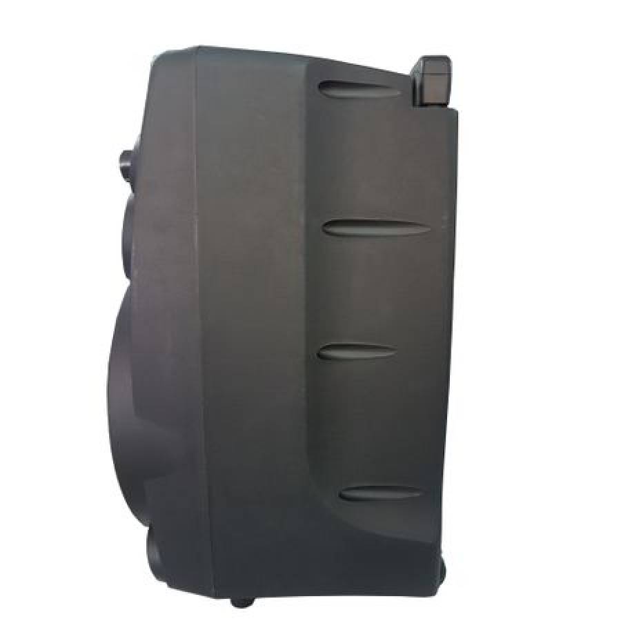 Boxa Audio Portabila Temeisheng, Conectivitate Prin Bluetooth , Putere Rms 100 W , Port Usb, Card Microsd , Frecventa 50hz-20khz  , Impedanta 4 Ohmi , Culoare Negru