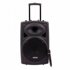 Boxa Audio Profesionala  Temeisheng  , Difuzor 15