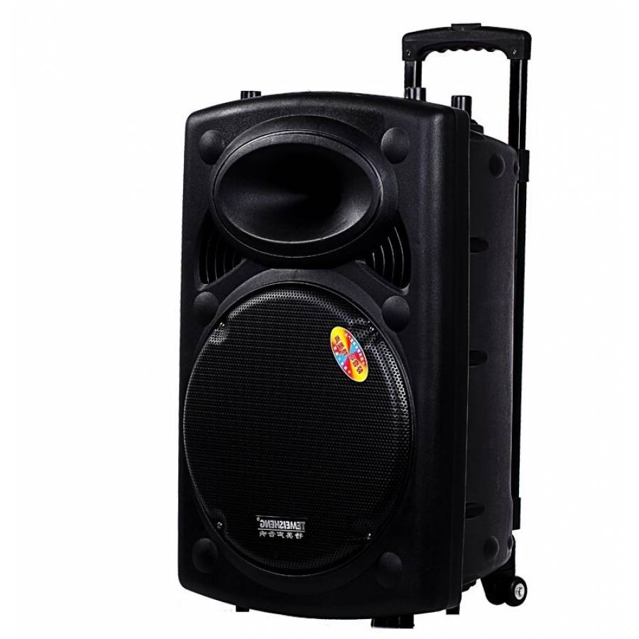 Boxa Audio Troler Audio 12″, Bluetooth, Mp3 Cu Sdcard Si Usb, Radio Fm, 150 W, Egalizator, Alimentare 220v/50hz, Maner De Transport, Negru