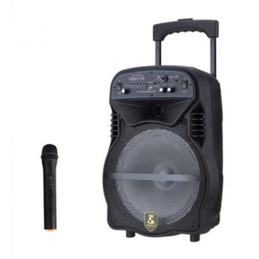 Boxa Bluetooth Activa, Portabila, Tip Troller, Microfon Inclus, Bluetooth, Aux, Radio Fm, Usb