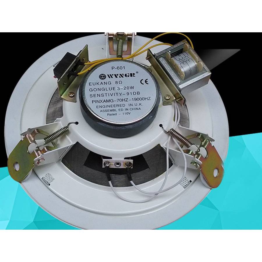 Boxa De Tavan Profesionala, Impedanta 8 Ohmi, Sensitivitate 91 Db, Putere 3-20 W, Tensiune 110 V, Frecventa Raspuns 70hz-19khz, Alb