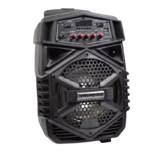 Boxa Portabila Klausstech, Troler, Microfon, Radio Fm, Sd Card, Bluetooth, Usb, Egalizator, Compatibilitate Universala, Telecomanda, Putere 30w, Lumini Led, Negru