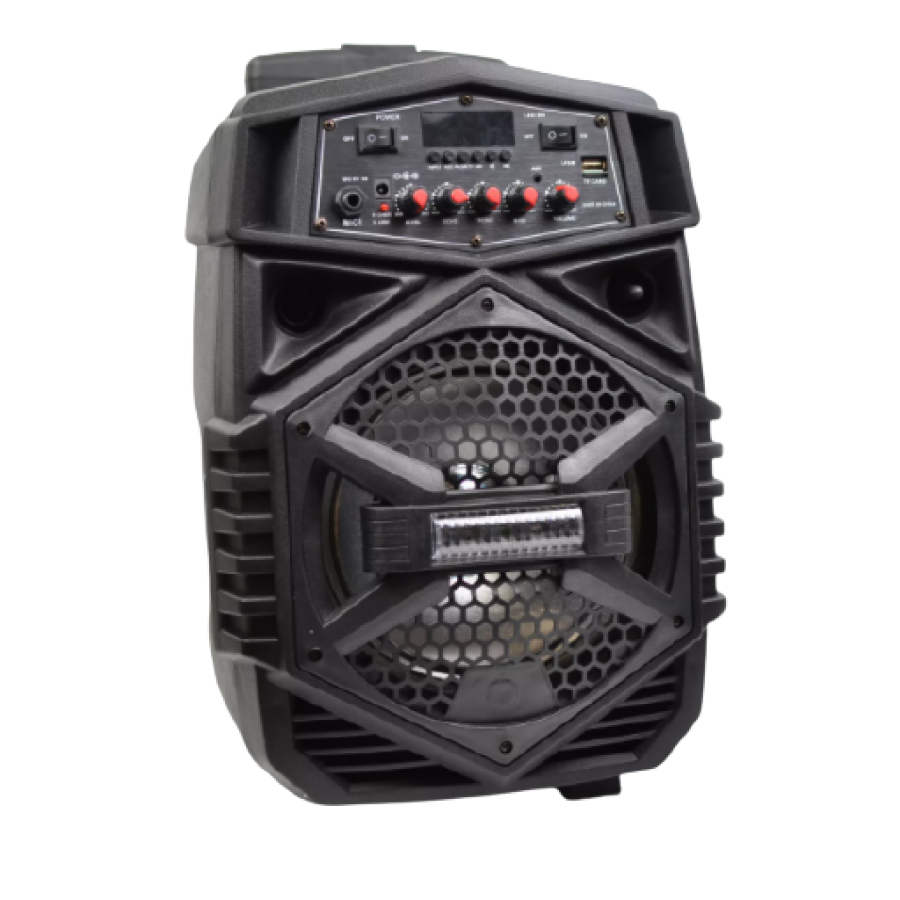 Boxa Portabila Klausstech, Troler, Microfon, Radio Fm, Sd Card, Bluetooth, Usb, Egalizator, Compatibilitate Universala, Telecomanda, Putere 30w, Lumini Led, Negru