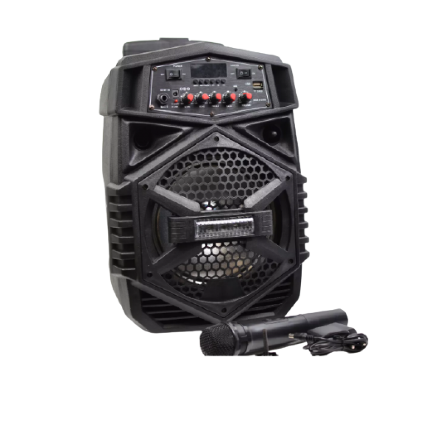 Boxa Portabila Klausstech, Troler, Microfon, Radio Fm, Sd Card, Bluetooth, Usb, Egalizator, Compatibilitate Universala, Telecomanda, Putere 30w, Lumini Led, Negru