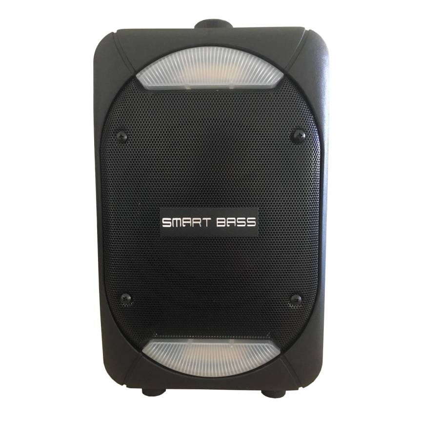 Boxa Profesionala Portabila, Putere 150 W, Display Led, Microfon Inclus, Telecomanda Inclusa, Conectivitate Bluetooth, Port Usb, Slot Card Sd, Radio Fm, Aux In, Frecventa 45 Hz - 20 Khz, Negru