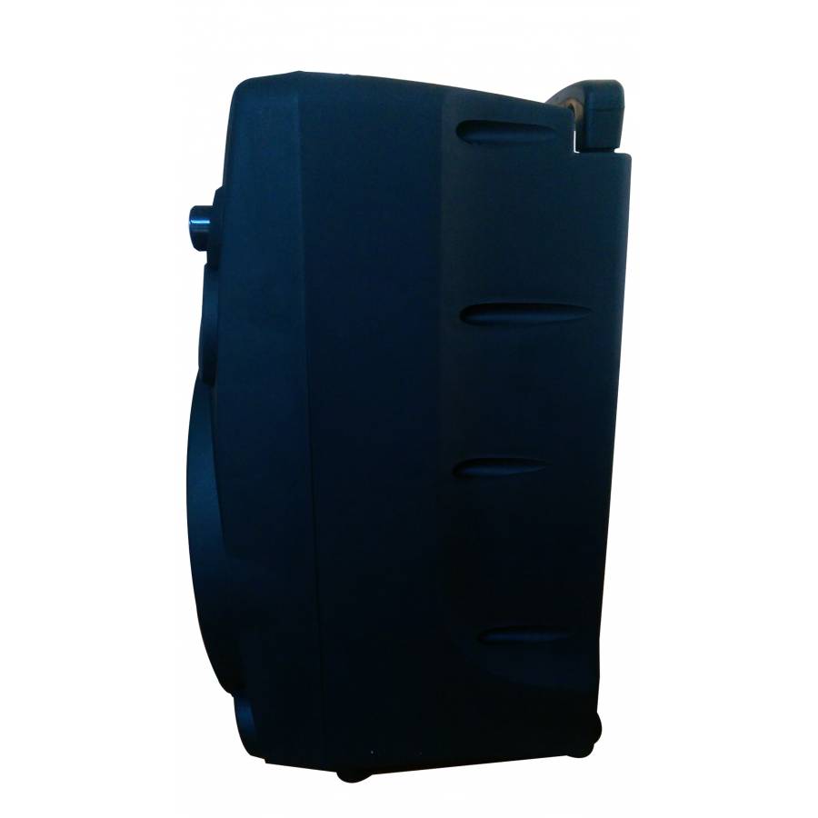 Boxa Profesionala Temeisheng ,putere 600w   Pentru Karaoke, Usb, Sd Card, Radio Fm, Bluetooth, Telecomanda Si Microfon, Cu Lumini Pe Difuzor