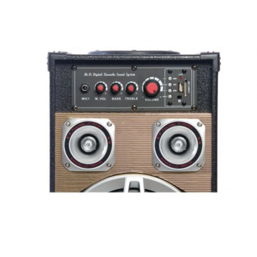 Boxe Active Ailiang 801, Usb, Radio Fm