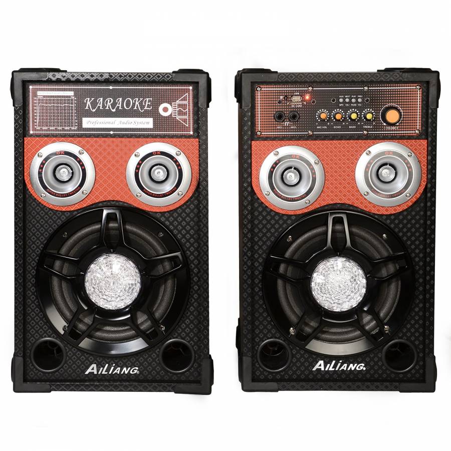 Boxe  Active Profesionale Ailiang ,usb/ Sd/radio Fm, Aux, Negre, Doua Mufe Jack Pentru Microfon 6.3mm .