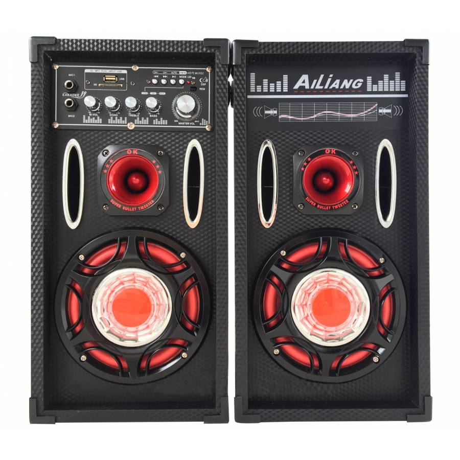 Boxe . Profesionale Ailiang, 100 W, Mmc, Fm, Usb, Microsd, Bluetooth, 2 Intrari Mic