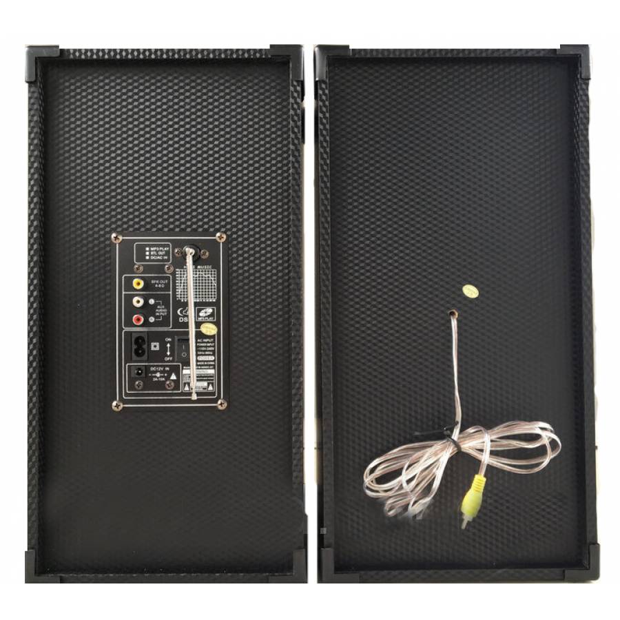 Boxe . Profesionale Ailiang, 100 W, Mmc, Fm, Usb, Microsd, Bluetooth, 2 Intrari Mic