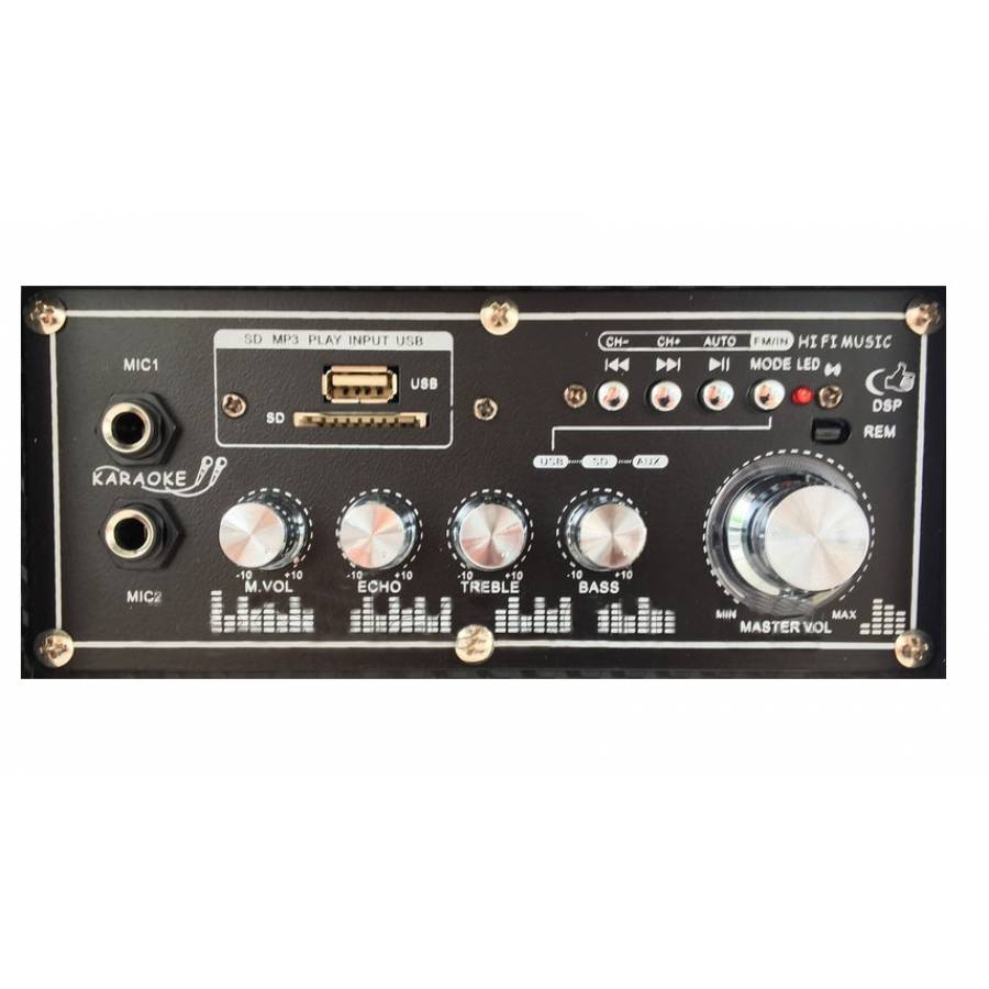 Boxe . Profesionale Ailiang, 100 W, Mmc, Fm, Usb, Microsd, Bluetooth, 2 Intrari Mic