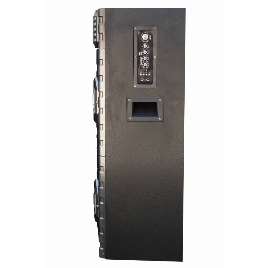 Boxe Profesionale Ailiang  , Putere De 600 W, Port Usb, Conectivitate Prin Bluetooth, 4 Difuzoare, Dimensiuni 10 Inch, Cu Joc De Lumini