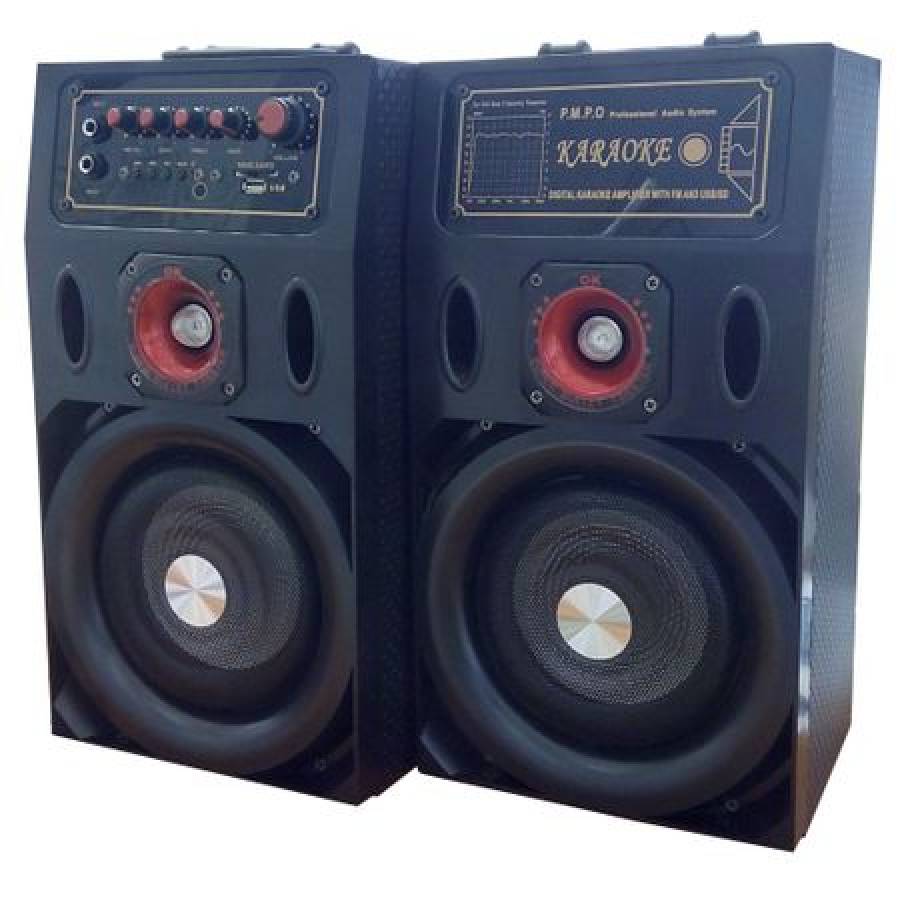 Boxe  Profesionale , Cu Usb , Sd Card , Joc De Lumini , Radio Fm , Aux In Microfon Jack 6.5 Mm.069