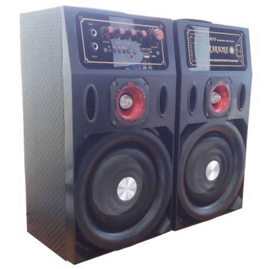 Boxe  Profesionale , Cu Usb , Sd Card , Joc De Lumini , Radio Fm , Aux In Microfon Jack 6.5 Mm.069