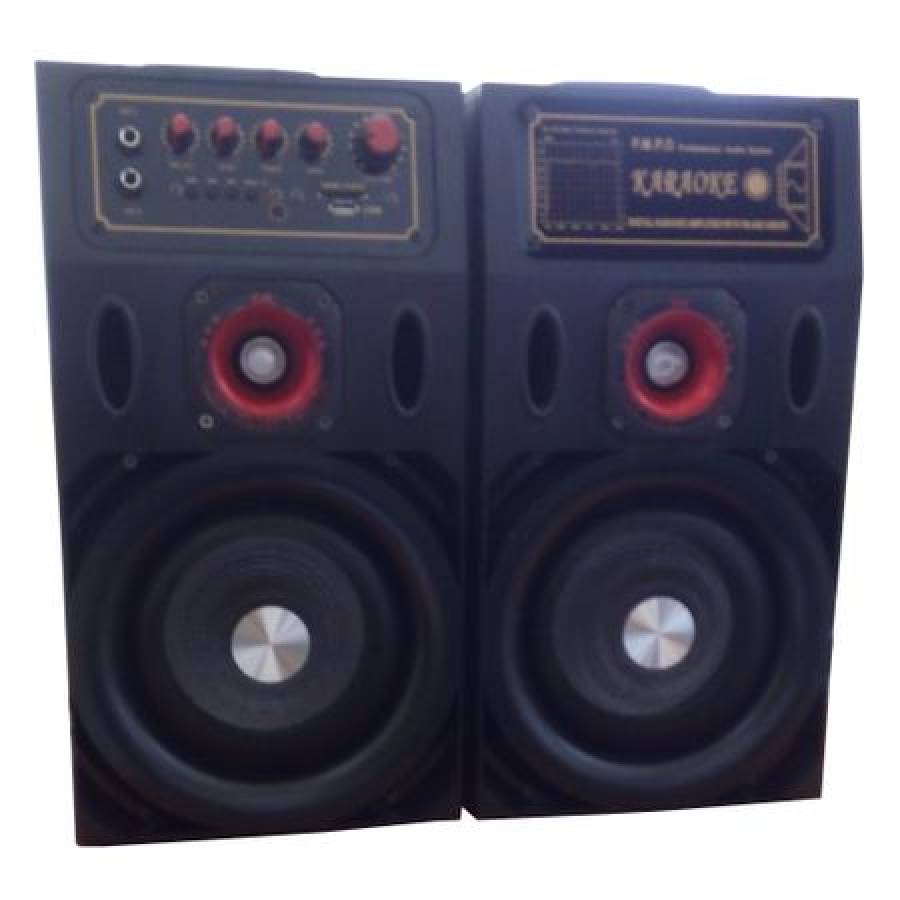 Boxe  Profesionale , Cu Usb , Sd Card , Joc De Lumini , Radio Fm , Aux In Microfon Jack 6.5 Mm.069